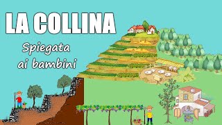 La COLLINA formazione terrazzamenti e attività svolte dalluomo 👨‍🌾 Geografia Scuola Primaria [upl. by Ronn]