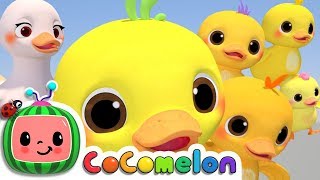 Five Little Ducks  CoComelon Nursery Rhymes amp Kids Songs [upl. by Sone874]