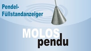 MOLOSpendu  preiswerter Füllstandsmelder für rieselfähige Schüttgüter ohne Betriebsenergie [upl. by Symon164]