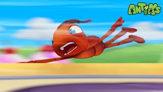 Hang Tight  Antiks 🐜  Funny Cartoons for Kids [upl. by Izogn49]