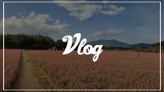 vlog｜【結婚できない男が行く】0円バスツアー2024秋🍇 [upl. by Nameerf324]