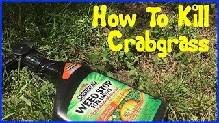 How to Kill Crabgrass  Spectracide Crabgrass Killer [upl. by Liuqa]