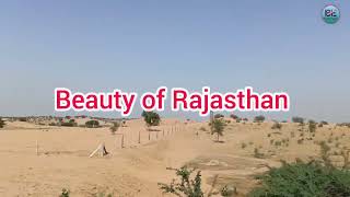 Suratgarh City to STPS Power Plant Campus  Beauty of Rajasthan  Indra Gandhi Canal [upl. by Netsrik]