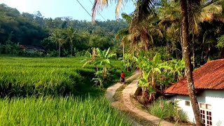 MASYA ALLAH TIDAK DI SANGKA😍 Seenak Ini Datang Ke Kampung Yang Indah Pemandangan Alam Desanya [upl. by Chuu954]