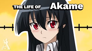 The Life Of Akame Akame ga Kill [upl. by Dedie271]