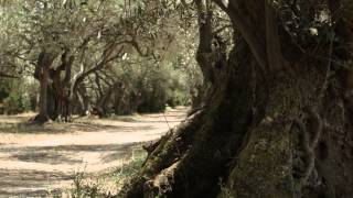 MARSEILLAN ENVIRONNEMENT [upl. by Kcirdnekel84]