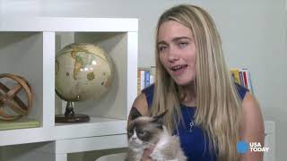 Remember the Time We Hung with Grumpy Cat Take a Look [upl. by Yrennalf]