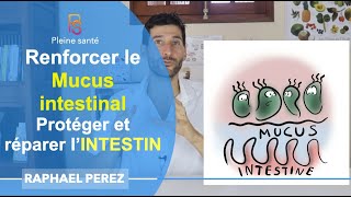 Renforcer le mucus intestinal pour protéger et réparer l’intestin [upl. by Lienad]