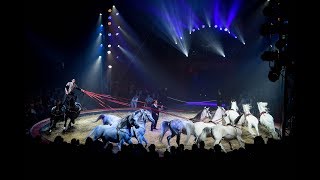 Wereldkerstcircus 20182019 Highlights [upl. by Nicholson201]