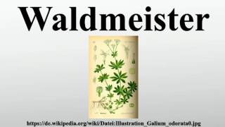 Waldmeister [upl. by Stanwinn]