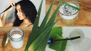 Verwendungen von Aloe Vera » DIY Brow Gel LeaveIn Conditioner Wellness Drink amp mehr [upl. by Adlei]