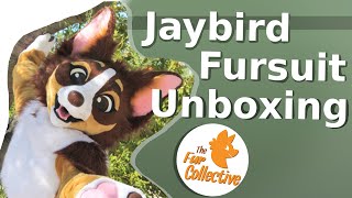 JAYBIRD CHIHUAHUA FURSUIT UNBOXING  The Fur Collective [upl. by Oicneconi]