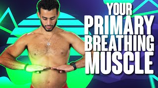 How to Treat Massage Stretch amp Strengthen Your Diaphragm Muscle breathing muscle [upl. by Renraw283]