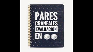 Pares Craneales evaluación en perro [upl. by Rapsac394]