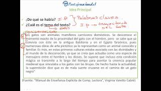 Taller estrategias de comprensión lectora  Lección 1 [upl. by Sakovich]