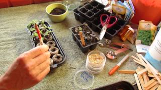 How to GrowStart Tomato Seeds Indoors in Peat Pellets  The Rusted Garden 2014 [upl. by Talanta]