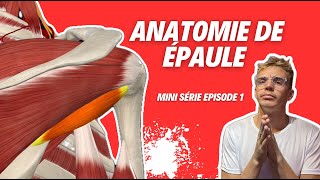 Anatomie de lÉpaule  Tout Ce Que Vous Devez Savoir  💪🦴 [upl. by Waldner]