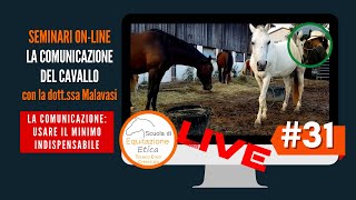 Equindi La vita del cavallo 31 Comunicare il minimo indispensabile  Etologia Equina Malavasi [upl. by Ani]