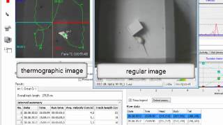 Video tracking an animal with thermographic camera [upl. by Fionna]