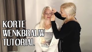 Wenkbrauw verven amp epileren tutorial [upl. by Aguie383]