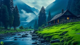 Beautiful Relaxing Music  Stop Overthinking Stress Relief Music Sleep Music Calming Music 60 [upl. by Piwowar]