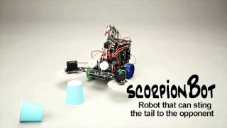 ROBOROBO EDUCATION ROBO KIT 6  SCORPION BOT [upl. by Anirpas]