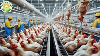 How American Farmers Raise Modern Broilers  Chicken Incubation Technology  Farming Documentary [upl. by Astera]