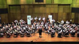 Dashing White Sergeant  South Africa style Ayrshire Fiddle Orchestra [upl. by Tamarah]