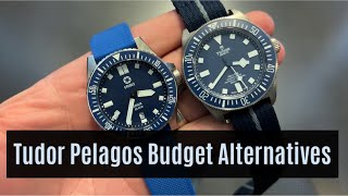 Tudor Pelagos Budget Alternatives [upl. by Elrod347]