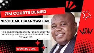 The Neville Mutsvangwa Case A Tangled Web of International Crimes [upl. by Ilwain423]