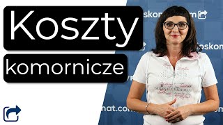 Koszty komornicze  Egzekucja komornicza  ile to kosztuje [upl. by Hajidahk205]