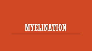 Myelination [upl. by Setiram]