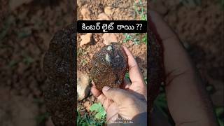 Kimberlite rock vajrakarur rocks nature [upl. by Ahseuqram]