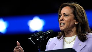 Fresh polling shows ‘honeymoon period’ with Kamala Harris is ‘over’ [upl. by Harewood]