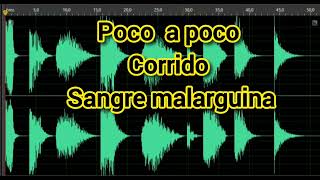 Poco a poco Corrido Sangre malarguina [upl. by Terraj464]