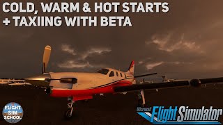 A Typical Flight In The TBM850 Part 1 Hot Starts amp Beta Explained [upl. by Urania414]