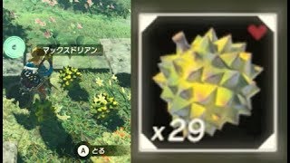 【マックスドリアンの入手場所 7か所】 攻略 ゼルダの伝説 ブレスオブザワイルド quotHearty Durian Locationsquot BOTW [upl. by Aubine]