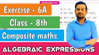 exercise  6A class 8  factorization of algebraic expressions  Composite maths ntrsolutions [upl. by Trant]