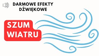 Szum wiatru 🌬️Relaksujące odgłosy wiatru 🔈 [upl. by Ahsirek]