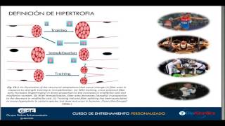 Fisiología Aplicada al Incremento de la Masa Muscular [upl. by Lavinie341]