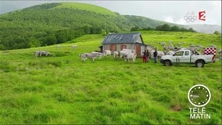 Marchés  Un été en Ariège [upl. by Selma503]