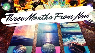 The Next 3 Months 🔮 Pick a Card Timeless Tarot Reading [upl. by Leavitt]