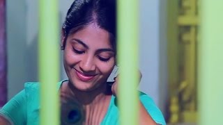 Ormacheppu  New Malayalam Album Song 2017  Sensations 24x7 [upl. by Nnaeiluj]