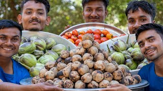 LITTI CHOKHA  Bihars Famous Litti Chokha Recipe  Village Rasoi [upl. by Imac]