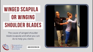 Winged Scapula or Winging Shoulder Blades with Dr Evan Osar [upl. by Pulling50]