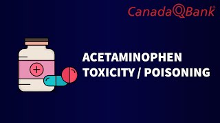 Acetaminophen Toxicity  Poisoning [upl. by Fenwick405]