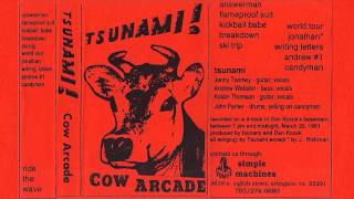 Tsunami  Cow Arcade 1991  demo cassette Simple Machines [upl. by Nwahsek433]