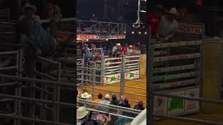 Spider Cowboy 🤠wrecks bullriding [upl. by Arraik445]