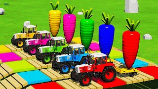 LOAD amp TRANSPORTING CARROTS with STEYR MINI TRACTORS amp FORKLIFTS CHALLENGE  FS22 [upl. by Corie918]