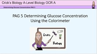 Determining glucose concentration using a colorimeter PAG5 Alevel biology practicals cricksbiology [upl. by Lepper]